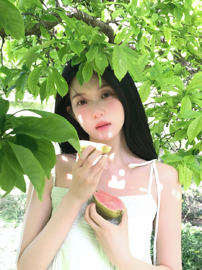 大明王朝1566